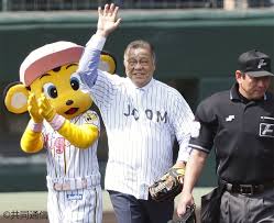 阪神タイガースの 収入源や収益は？！！甲子園のスター狙い！親会社の狙いが巨人との違い！