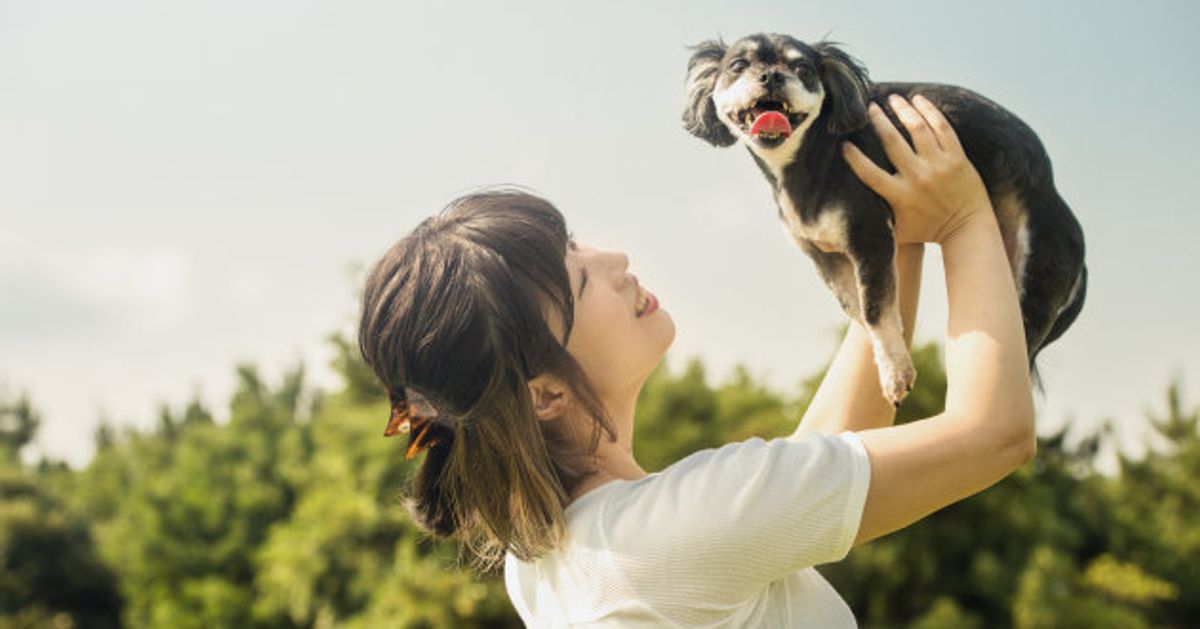 現代の「ペットビジネス」がスゴい！保険に仏壇、マッチングサービスも